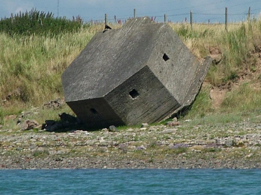 Click now to see this image full size.