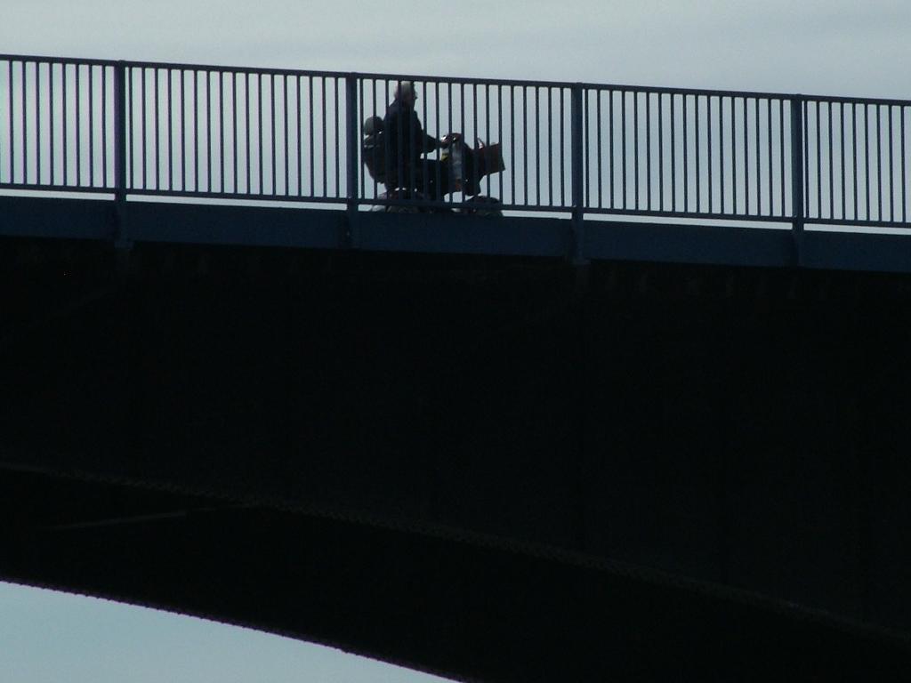 Click now to see this image full size.