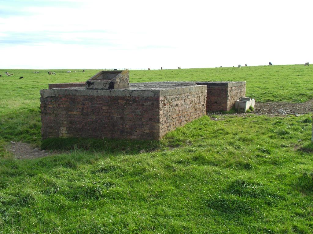 Click now to see this image full size.