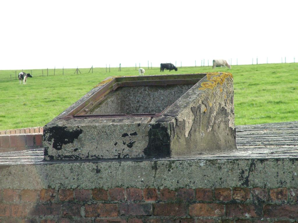 Click now to see this image full size.