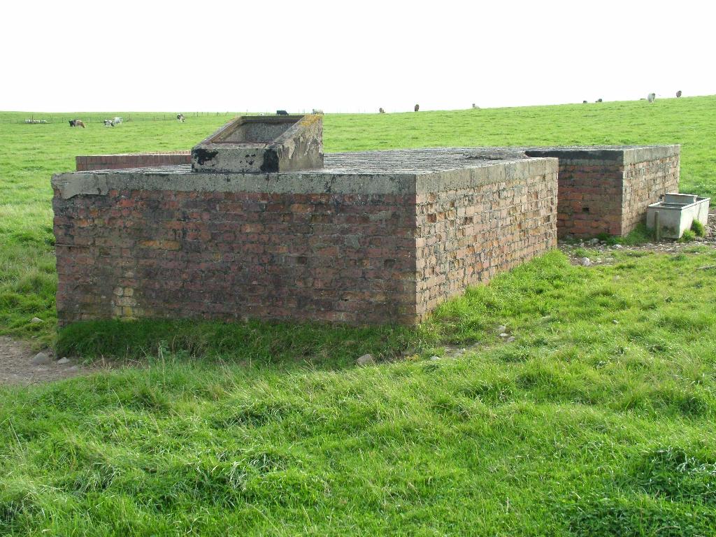 Click now to see this image full size.