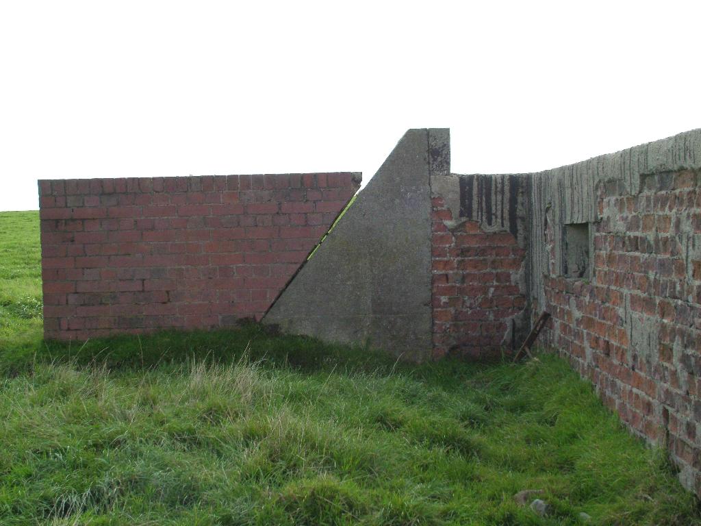 Click now to see this image full size.