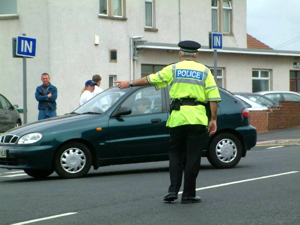 Click now to see this image full size.