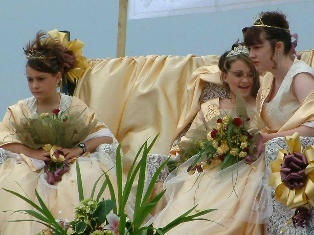 Click now to see this image full size.