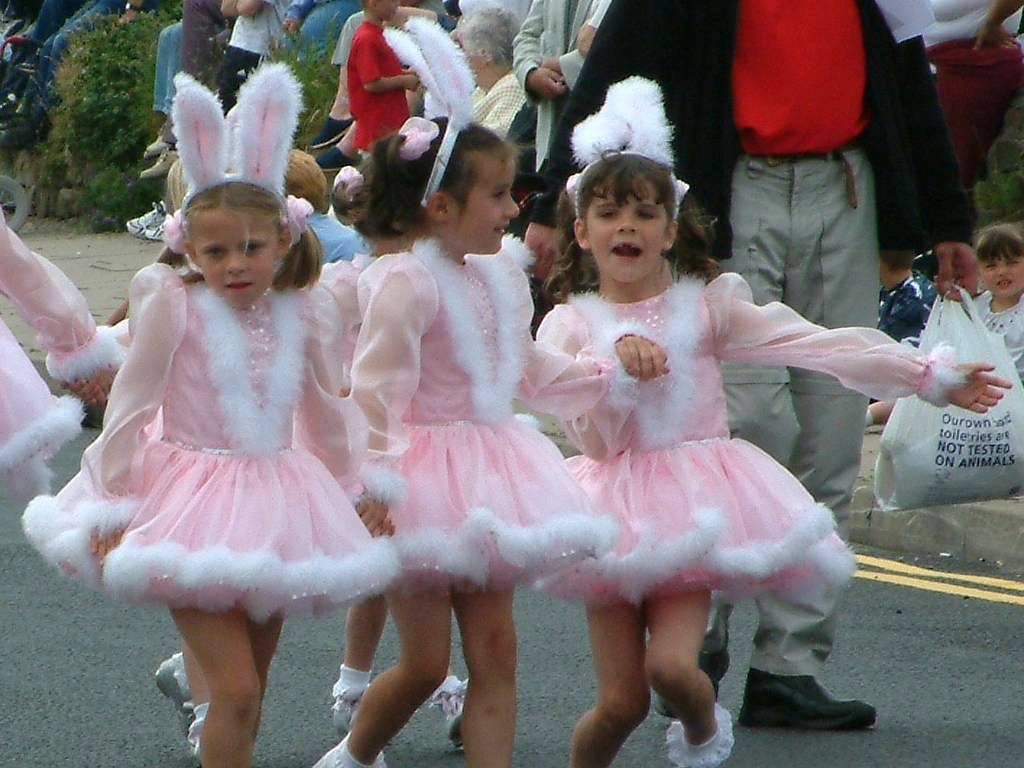 Click now to see this image full size.