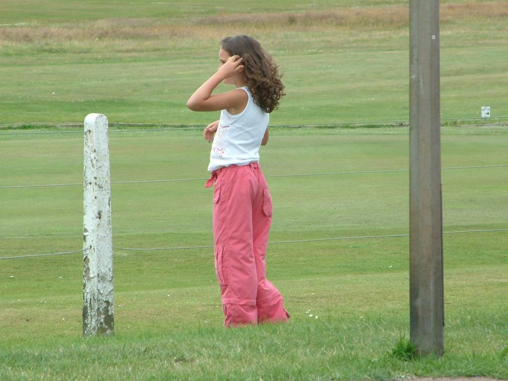 Click now to see this image full size.