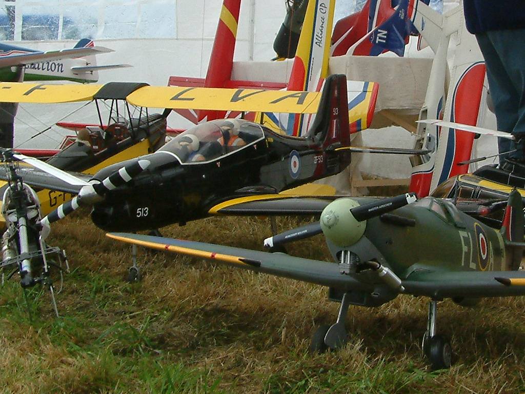 Click now to see this image full size.