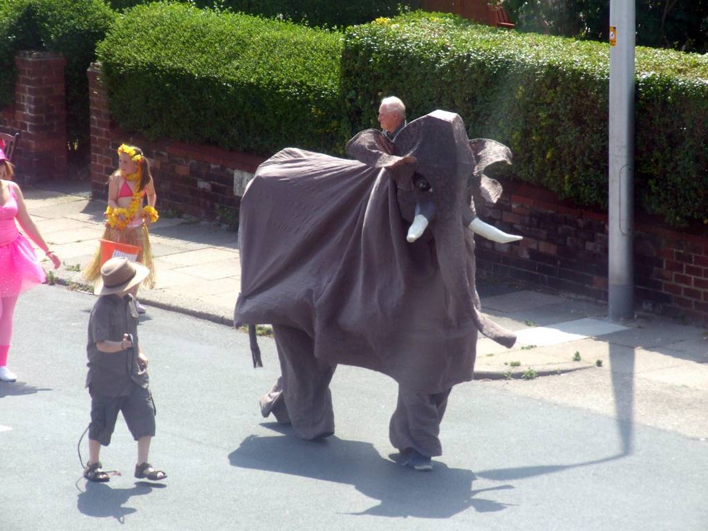 Click now to see this image full size.