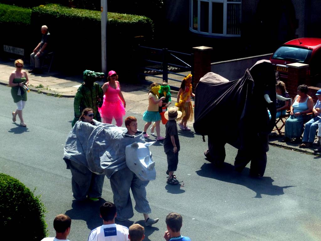 Click now to see this image full size.