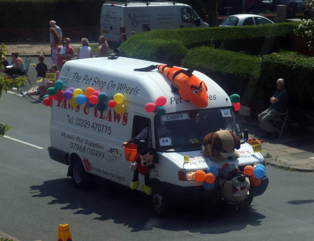 Click now to see this image full size.