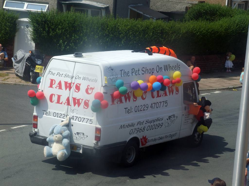 Click now to see this image full size.