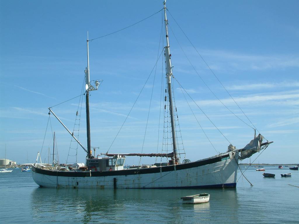 Click now to see this image full size.