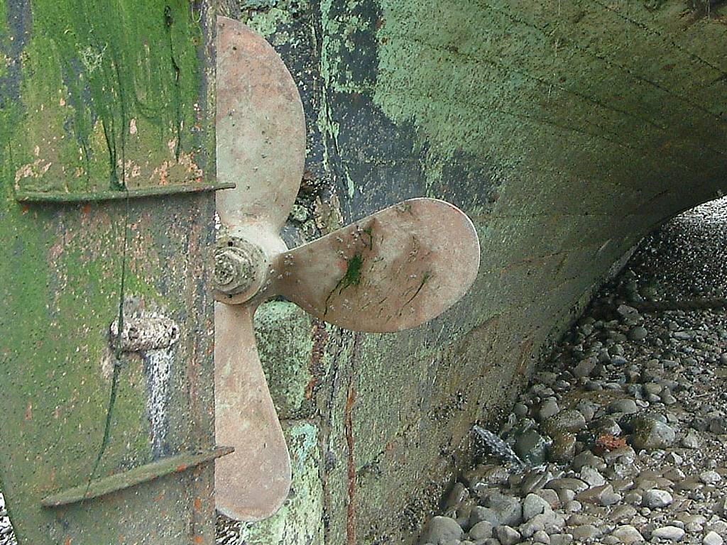 Click now to see this image full size.