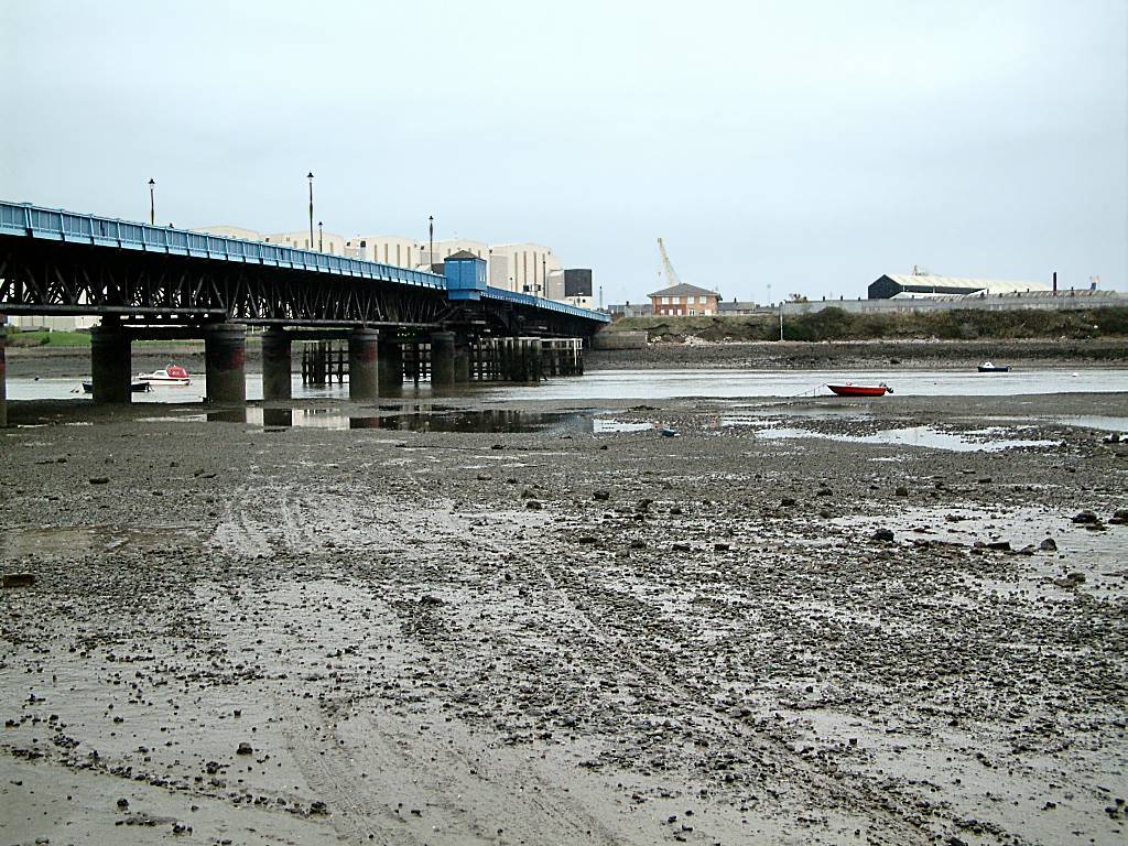 Click now to see this image full size.