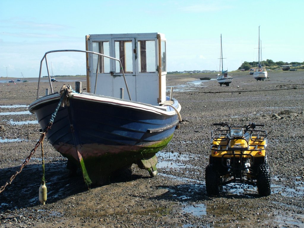 Click now to see this image full size.