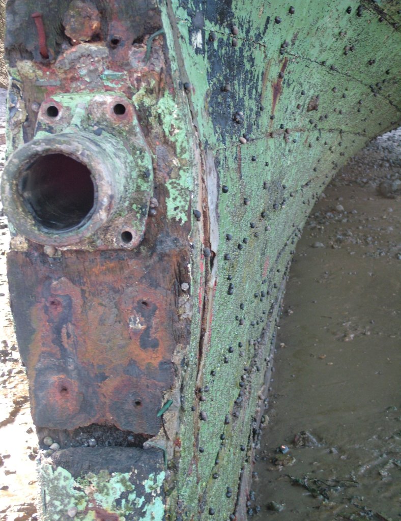 Click now to see this image full size.