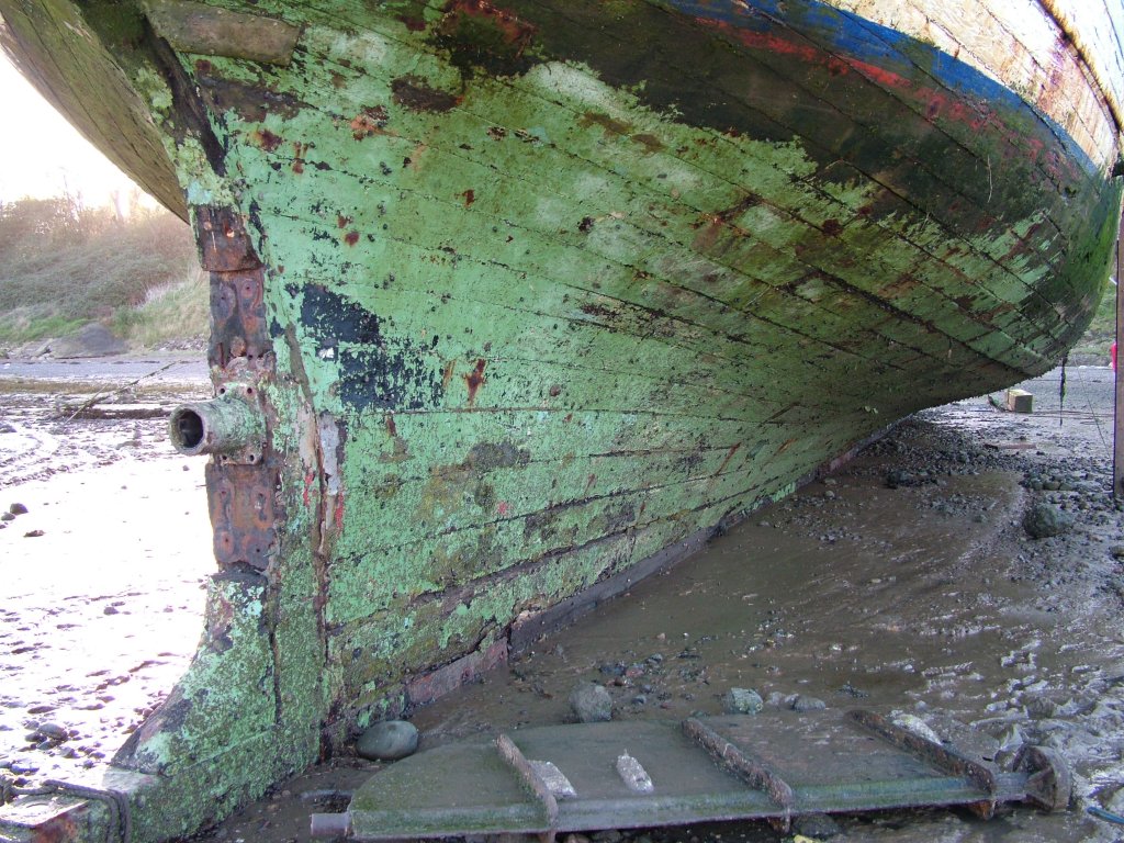 Click now to see this image full size.