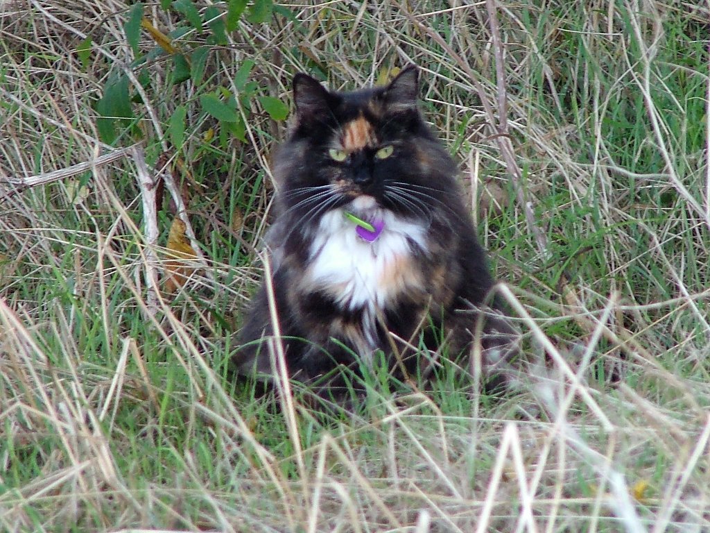 Click now to see this image full size.