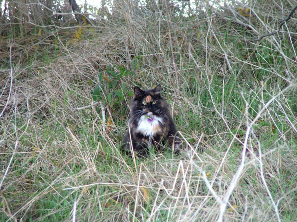 Click now to see this image full size.