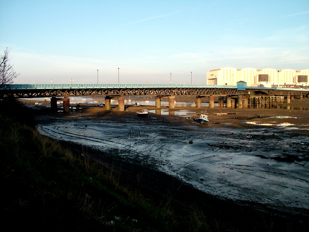 Click now to see this image full size.