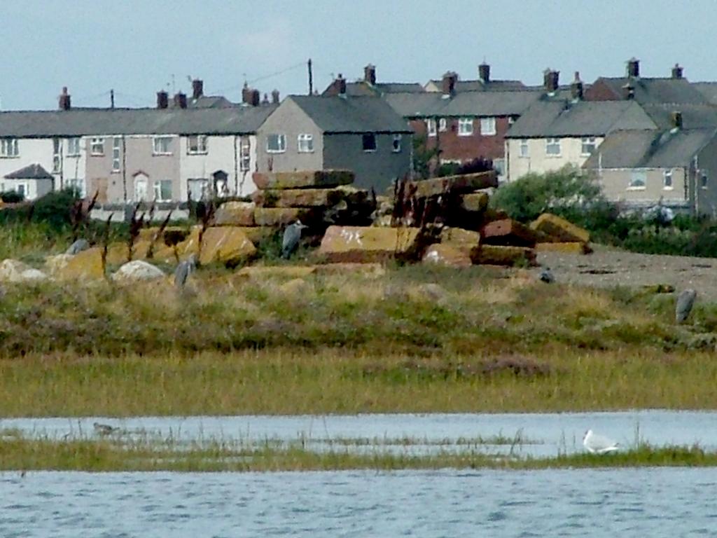 Click now to see this image full size.