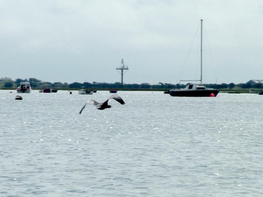 Click now to see this image full size.