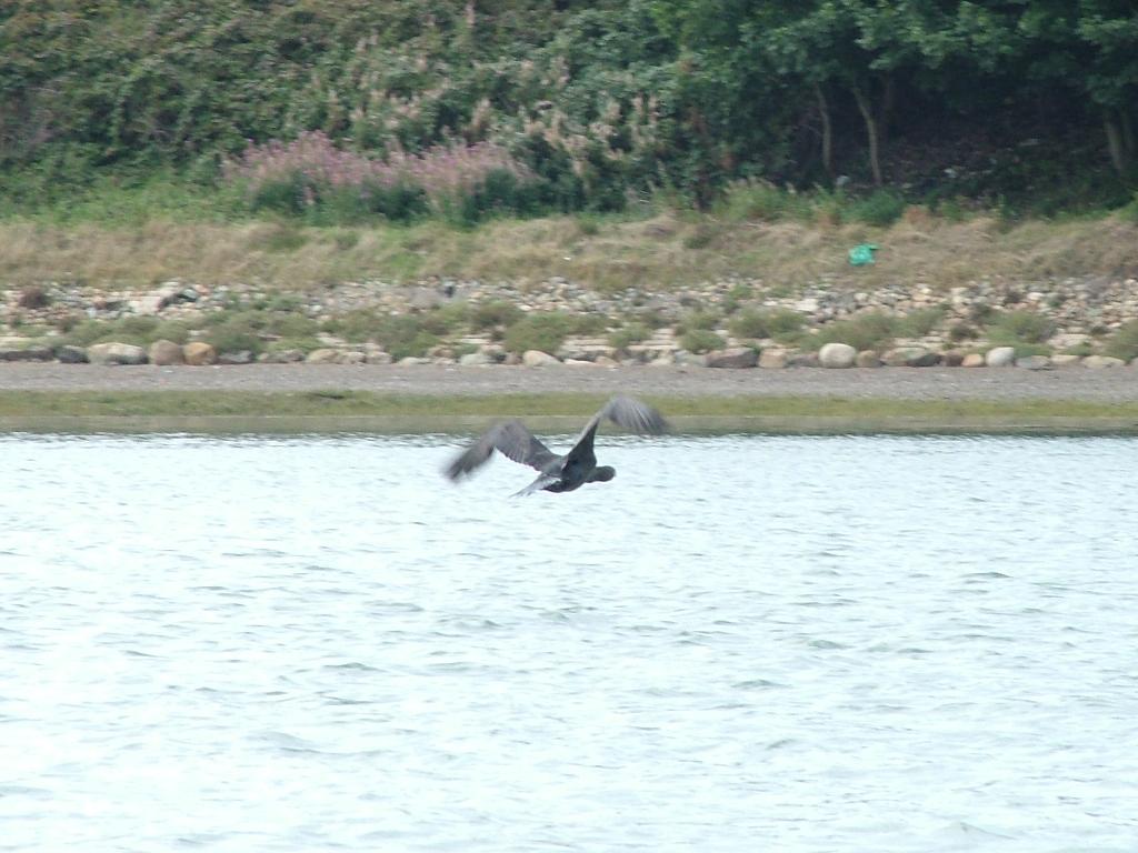 Click now to see this image full size.