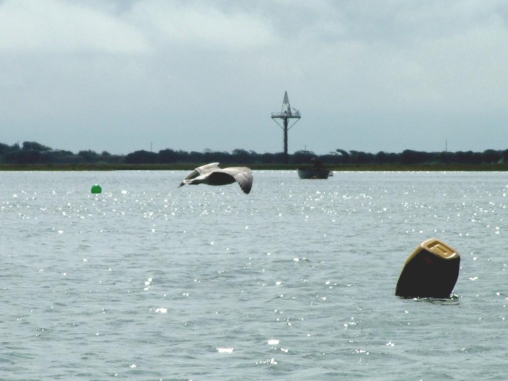 Click now to see this image full size.