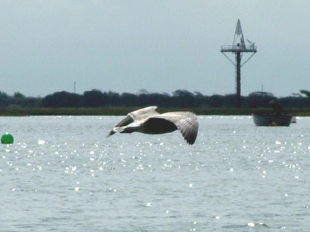 Click now to see this image full size.