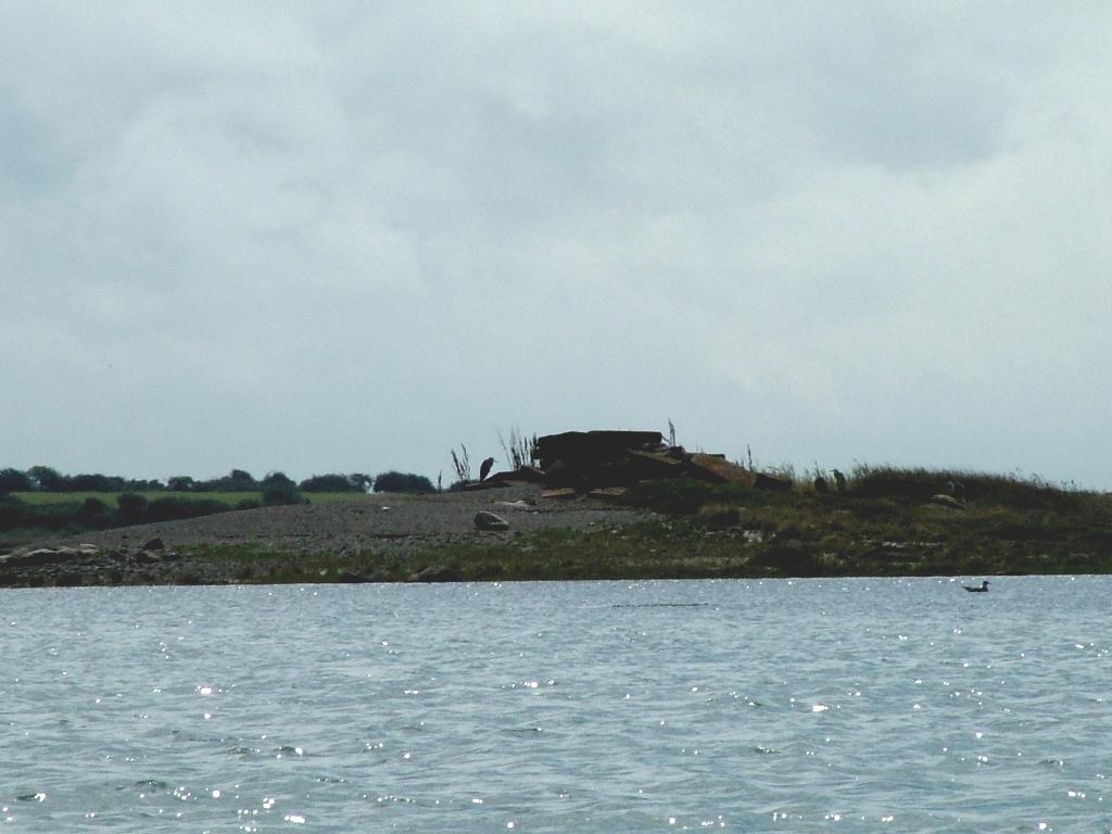 Click now to see this image full size.