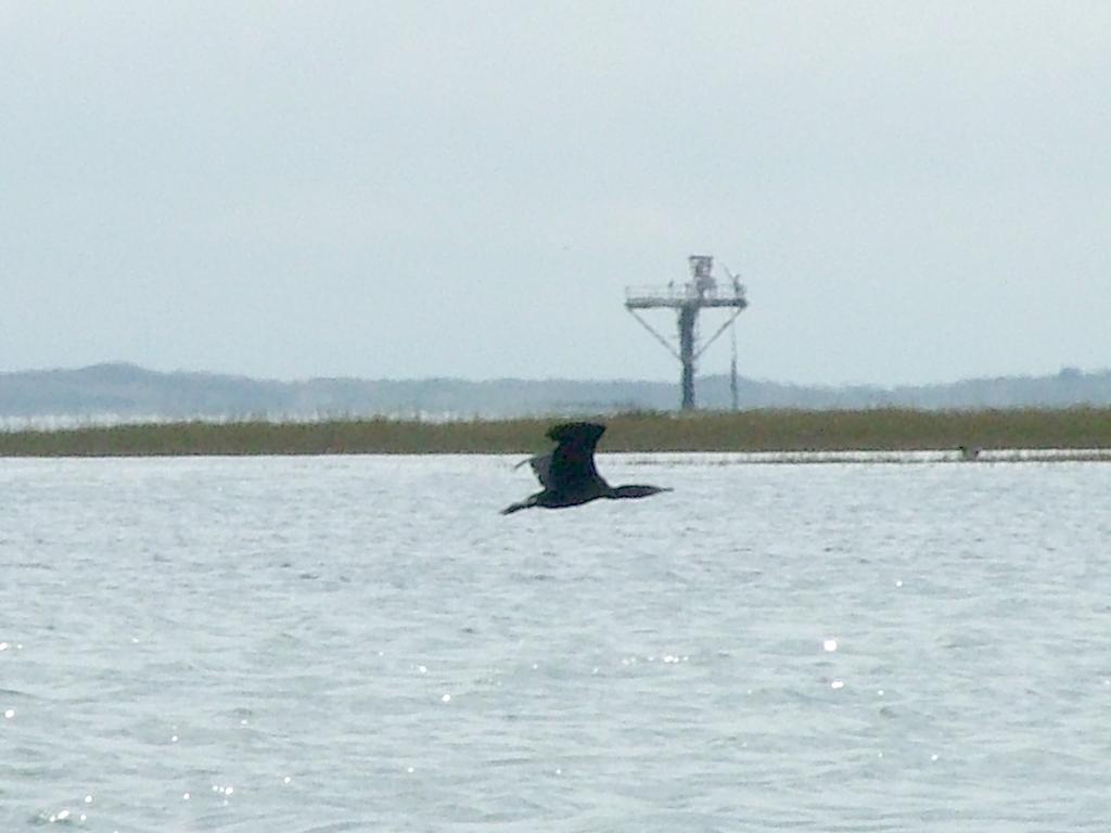 Click now to see this image full size.