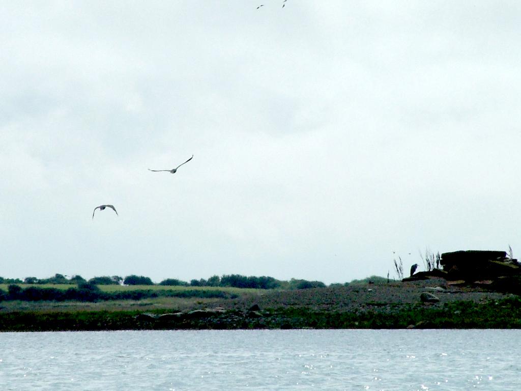 Click now to see this image full size.