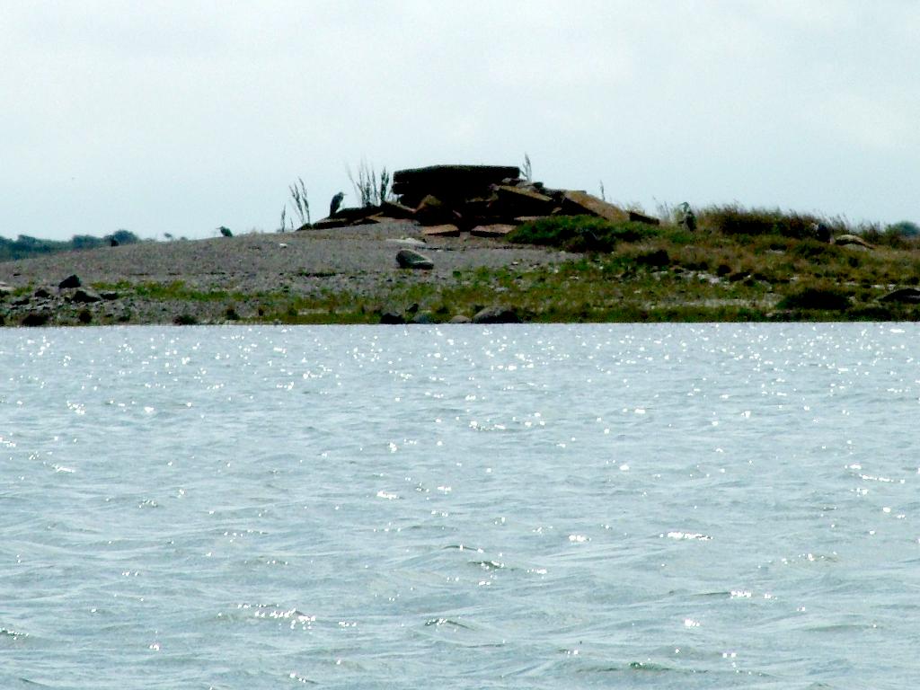 Click now to see this image full size.