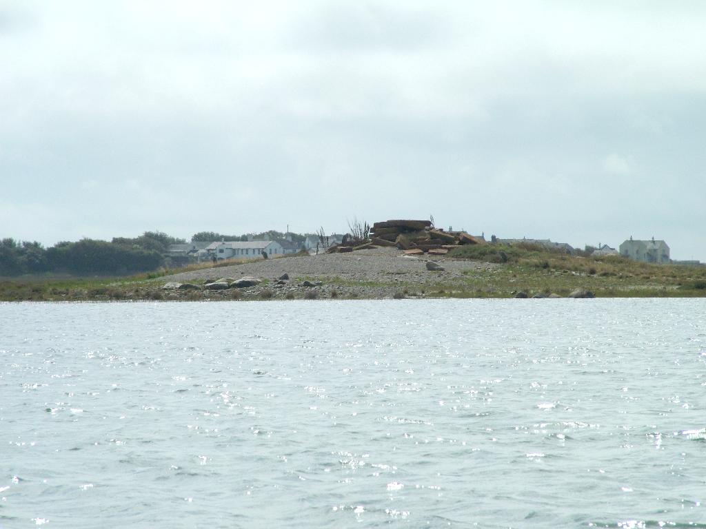 Click now to see this image full size.