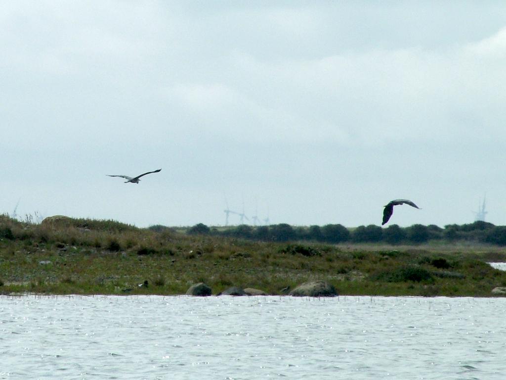 Click now to see this image full size.