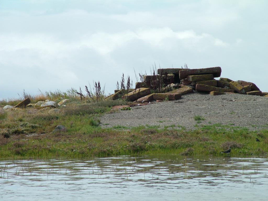 Click now to see this image full size.