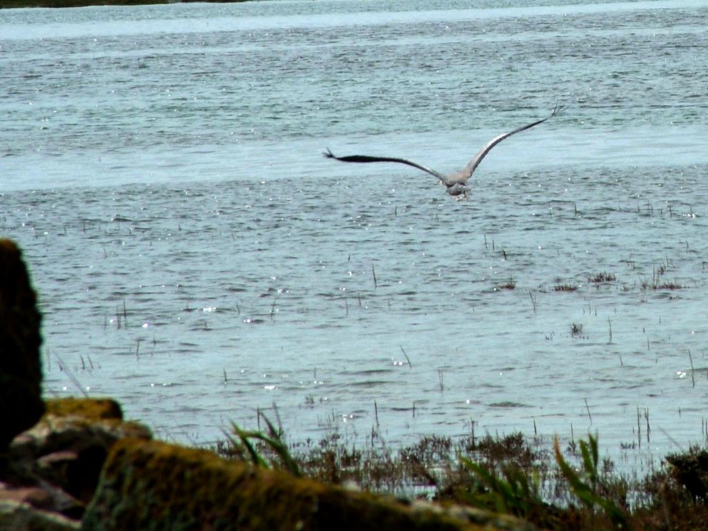 Click now to see this image full size.