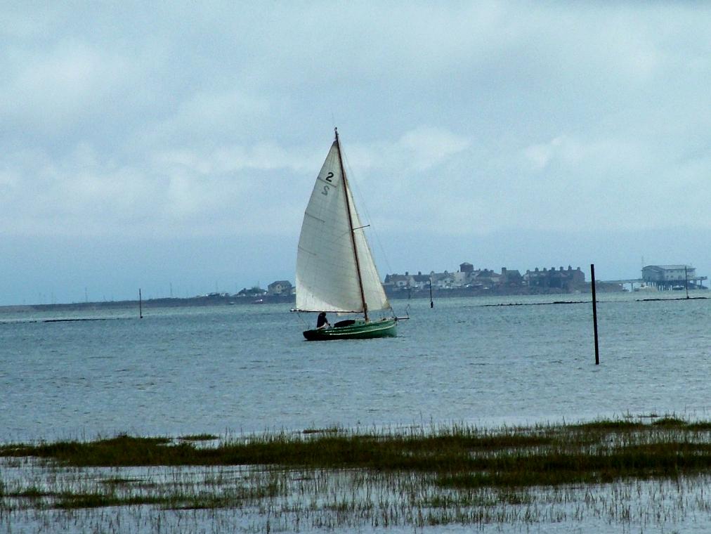 Click now to see this image full size.