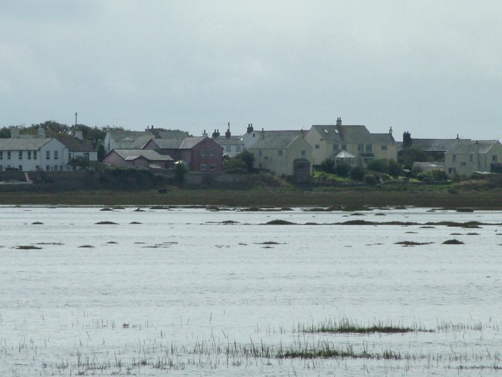 Click now to see this image full size.