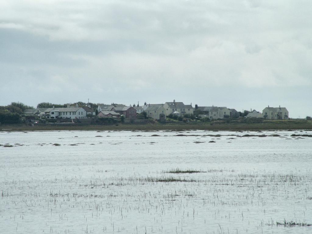 Click now to see this image full size.