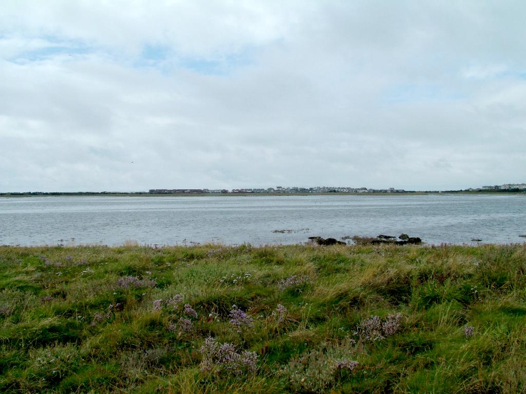 Click now to see this image full size.