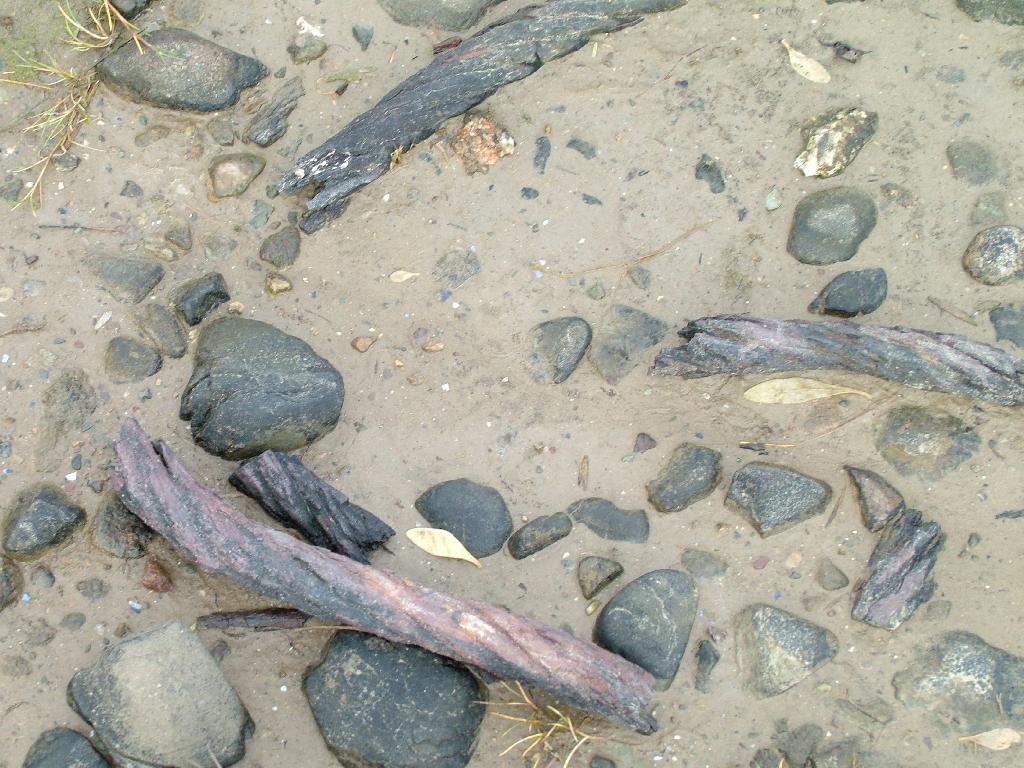 Click now to see this image full size.