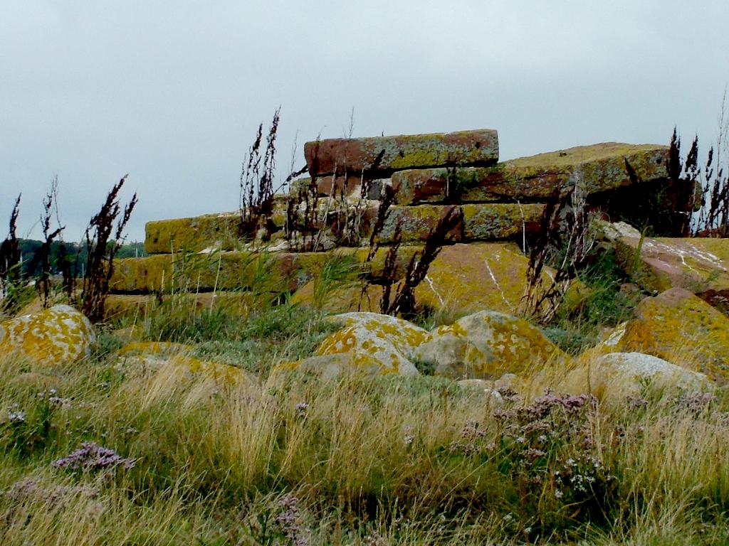 Click now to see this image full size.