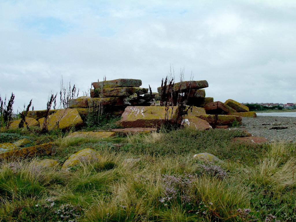 Click now to see this image full size.