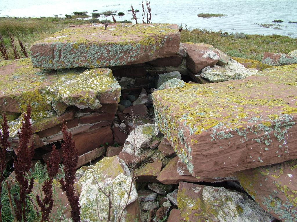 Click now to see this image full size.