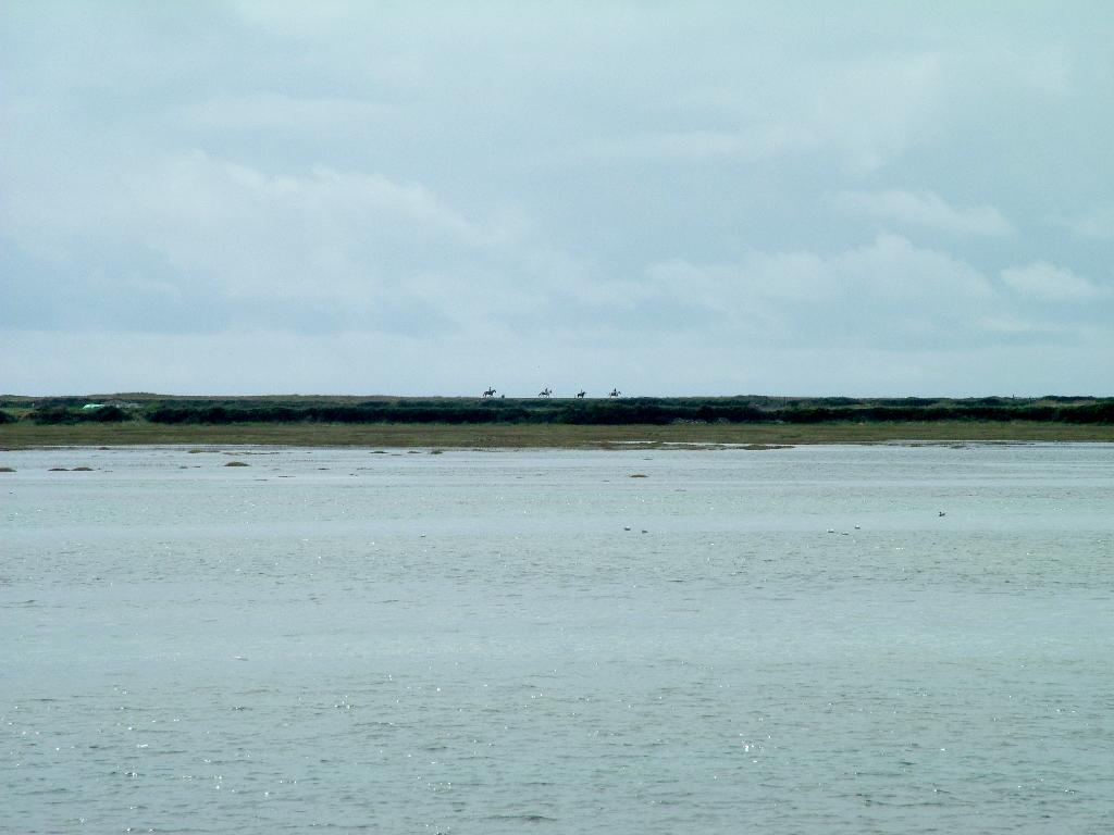 Click now to see this image full size.