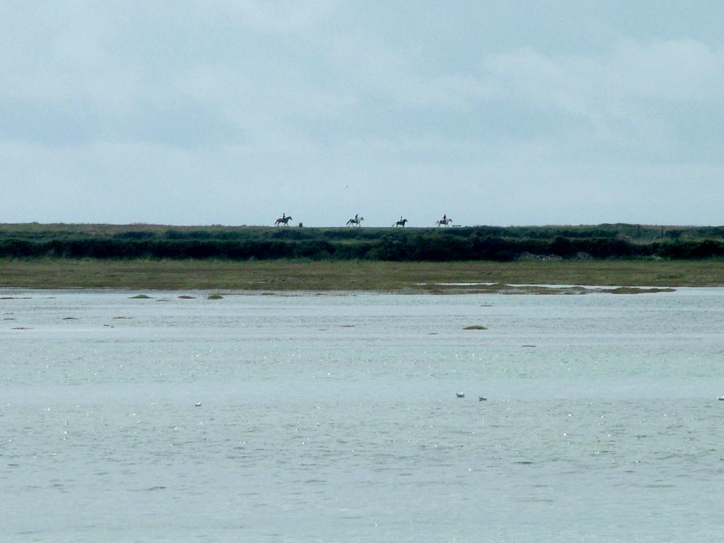 Click now to see this image full size.