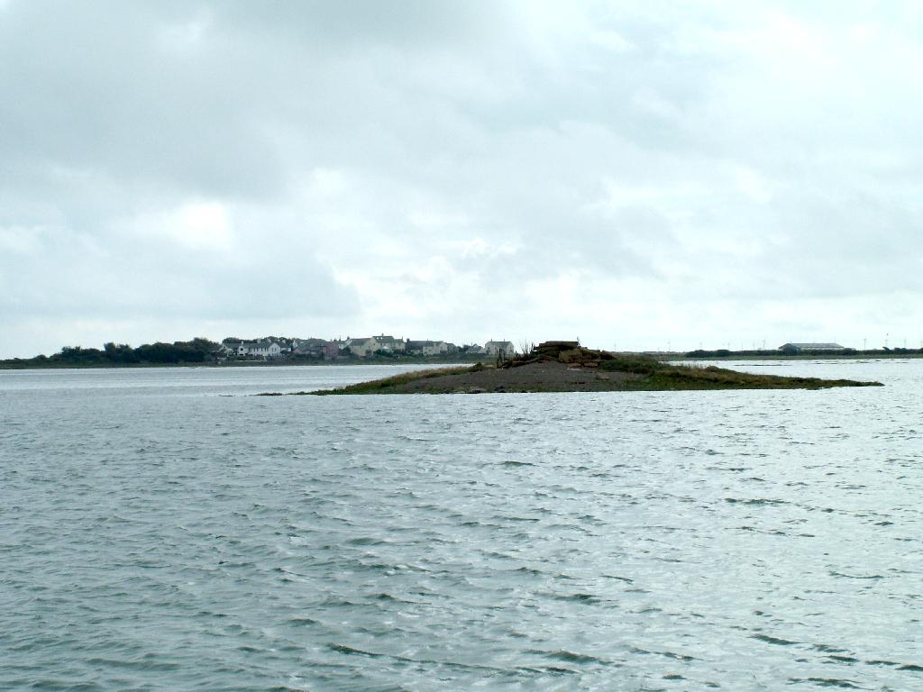 Click now to see this image full size.