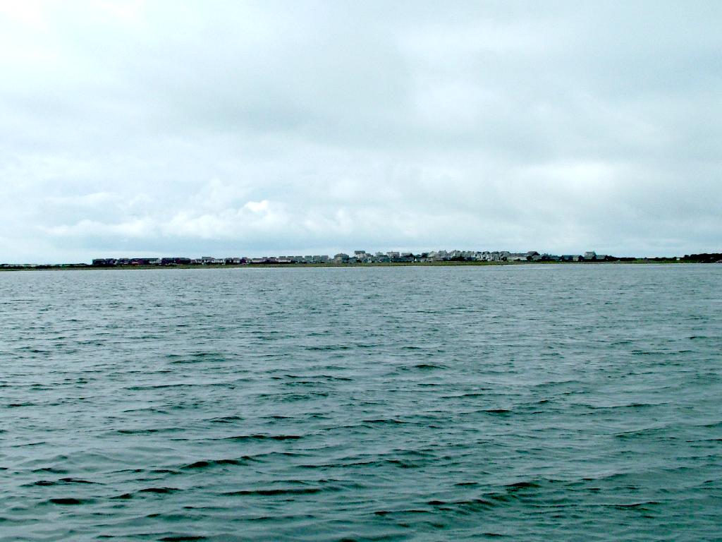 Click now to see this image full size.