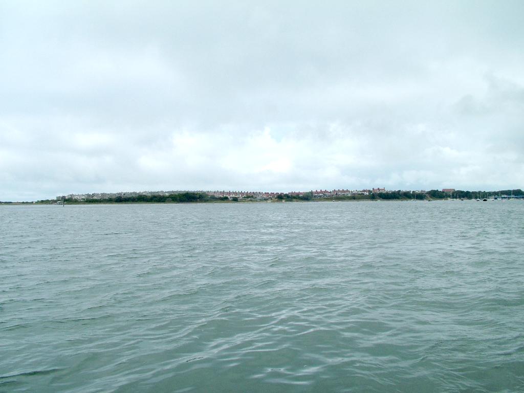 Click now to see this image full size.